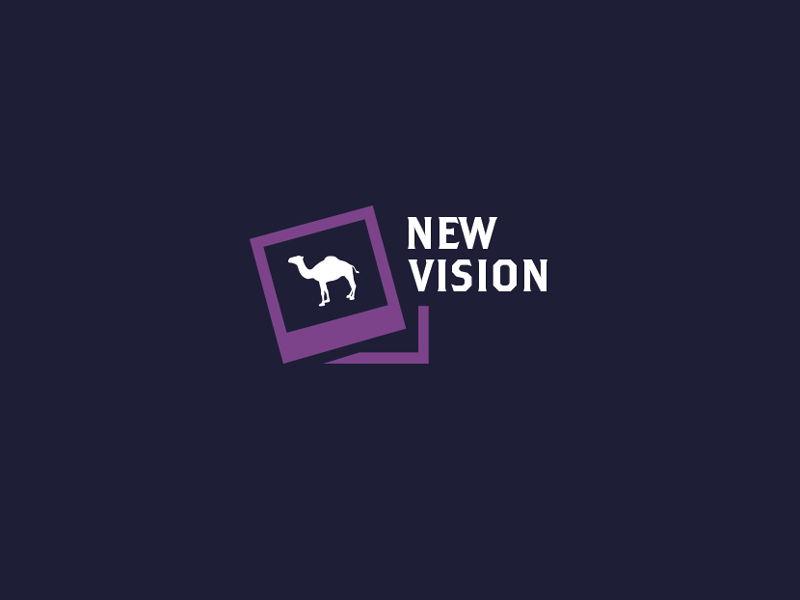 Camel_NewVision_IdentityV2 branding identity illustration