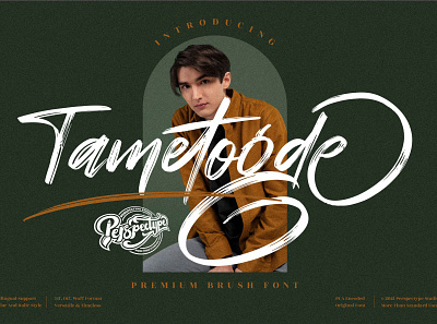 Tametogde - Premium Brush Font app branding design icon illustration logo typography ui ux vector web