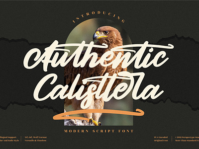 Authentic Calisttera - Modern Script Font