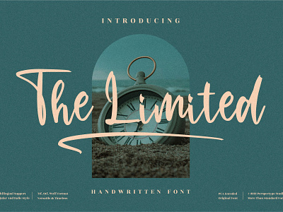 The Limited - Beautiful Handwritten Font app branding design icon illustration logo typography ui ux vector web