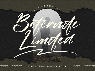 Beternite Limited - Signature Script Font