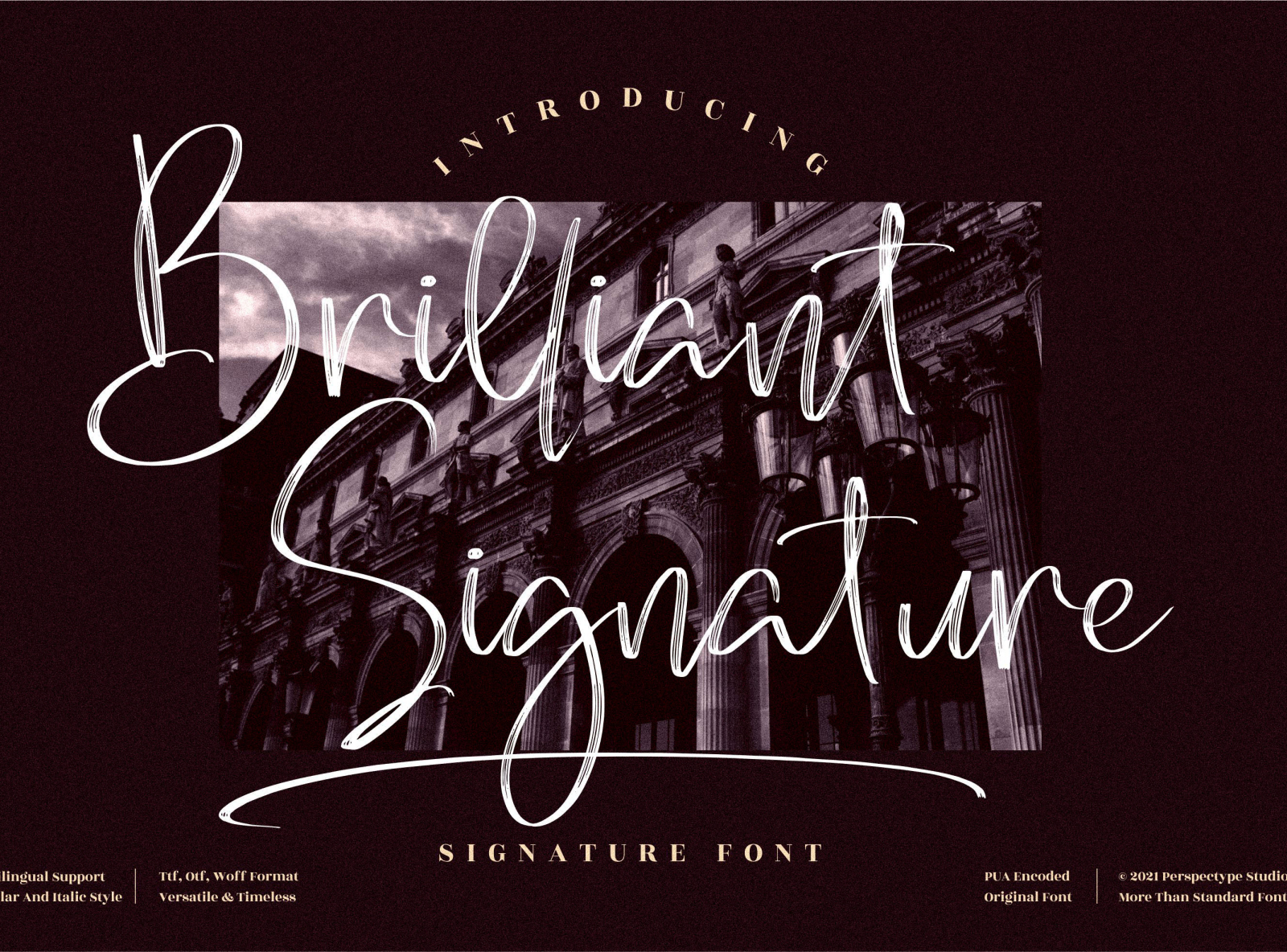 Brilliant Signature - Signature Script Font by Perspectype Studio on ...