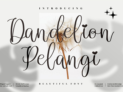 Dandelion Pelangi - Beautiful Script Font app branding design icon illustration logo minimal typography ui ux vector web