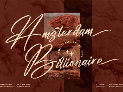 Amsterdam Billionaire - Modern Signature Font 3d animation app branding design graphic design icon illustration logo motion graphics typography ui ux vector