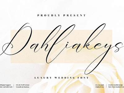 Dahliakeys - Beautiful Script Font 3d animation app branding design graphic design icon illustration logo motion graphics typography ui ux vector