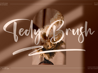 Tedy Brush - Premium Brush Font