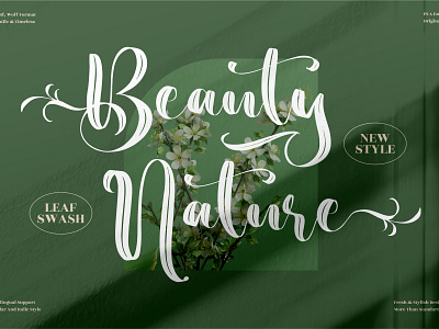 Beauty Nature - Beautiful Brush Font