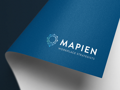 Mapien Logo branding branding and identity logo vector