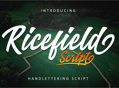 Ricefield Script Font font font design handlettering script font script lettering scripts