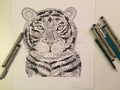 Tiger hidden illustration tiger