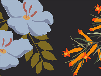 Floral Pattern botanical floral illustration