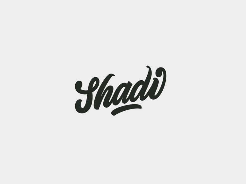 Shadi animation calligraphy lettering process