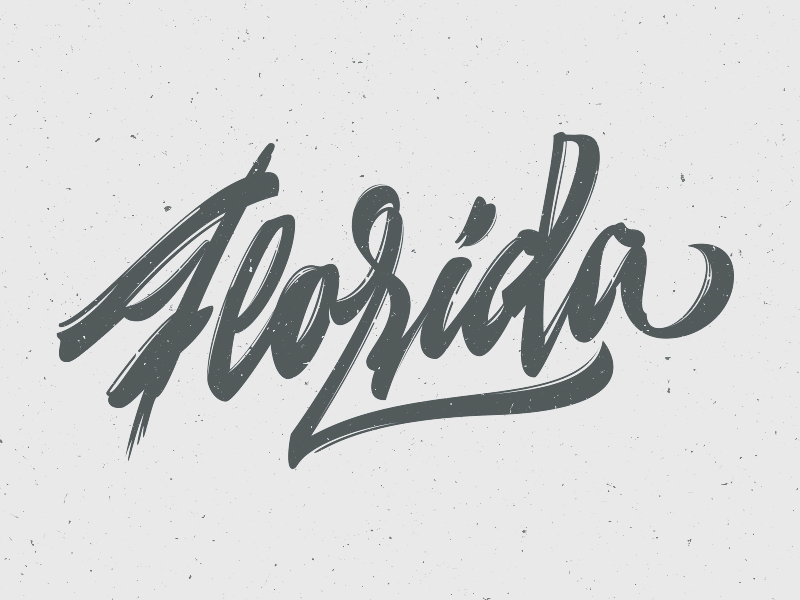 Florida brush pen calligraphy custom lettering logotype t shirt