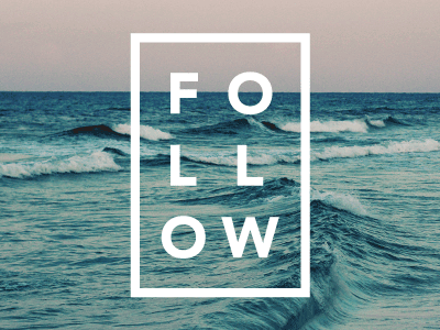 Follow (GIF) follow identity