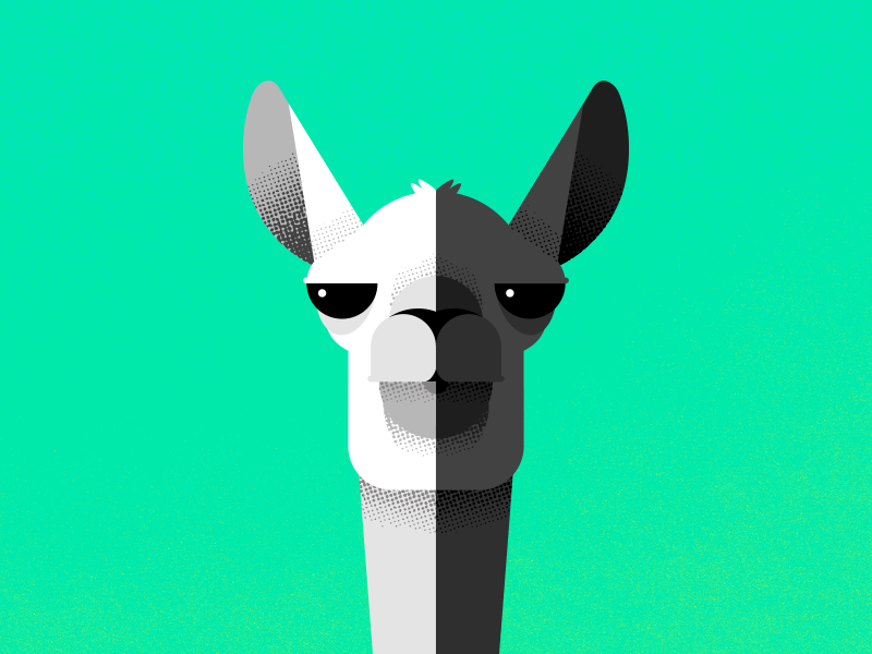 Never Forget arizona black and white llamas illustration chase