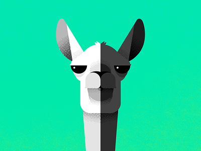 Never Forget arizona black and white chase illustration llamas