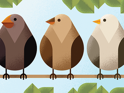 Darwin's Finches beaks bible birds creation darwin editorial evolution finches geometric illustration texture
