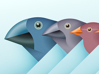 Made You Finch answers magazine beak birds darwin editorial illustration evolution finches galapagos