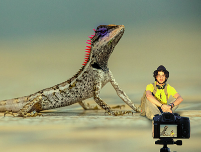 Me & Mr Lizard graphic design photoshop