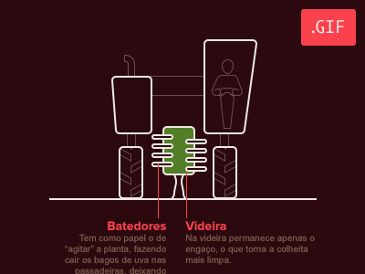 Animated Vineyard Harvest Infographic animation flat gif harvest illustration infographic informative technical vine vineyard