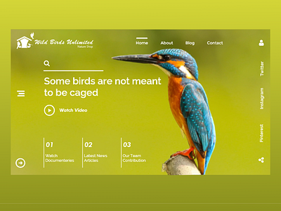 Wild Birds Unlimited UI Design