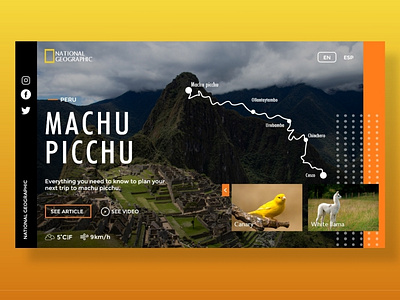 National Geographic UI Design