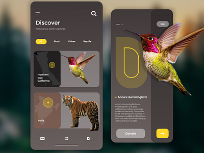 Discovery Mobile UI Design