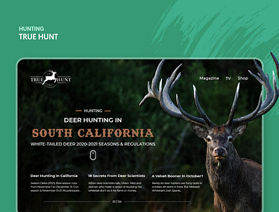 Deer Hunting Website branding deerhuntingwebsite graphicdesigne uidesign uxdesign webdesign webdesigner webdesignsprime webdeveloper webdevelopment websitedesign