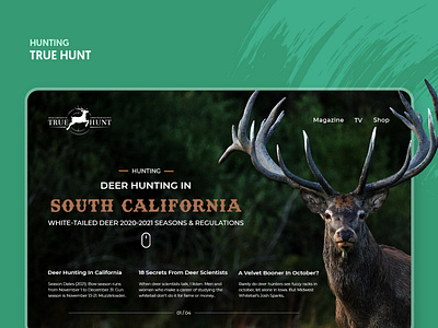 Deer Hunting Website