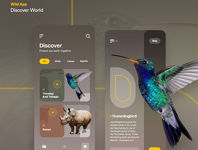 Wild App Discover World 3d animation graphic design logo motion graphics ui