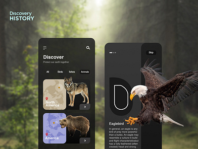 Discovery History app appdesign appdeveloper appdevelopment designideas discoveryhostory mobiledesign uidesign uxdesign webdesignsprime