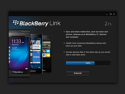 Blackberry Link