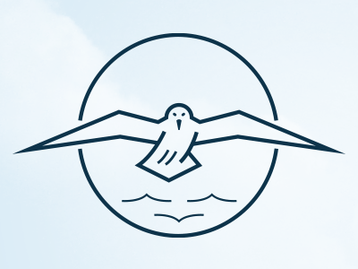 Seagull illustration