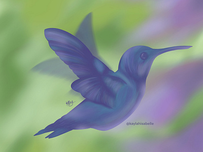 Humming Bird brand design branding illustration illustrator procreate