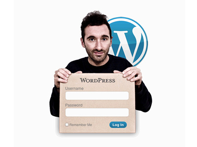 Custom wp-login form login ui wordpress