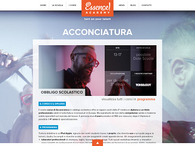 Essence restyling jquery parallax wordpress