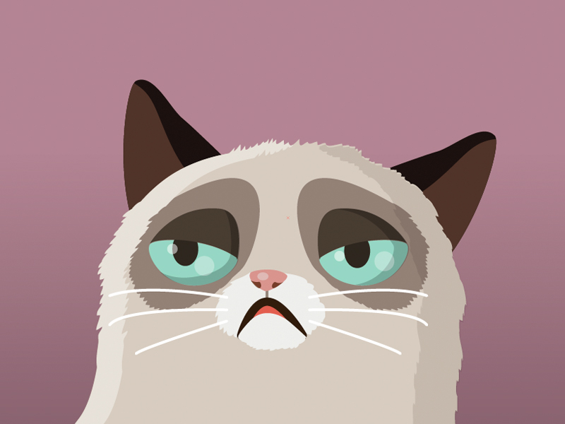 Vector Grumpy cat v.2 by Sara Michieli on Dribbble