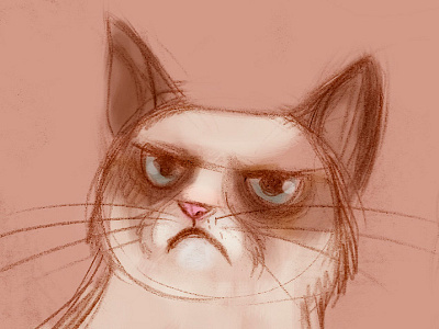 grumpy cat pencil drawing