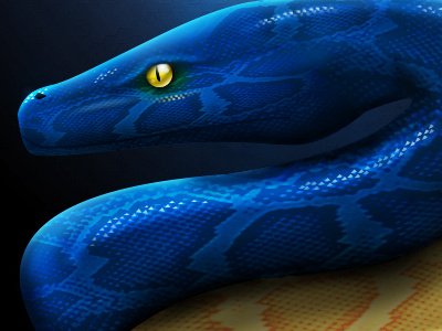 Python Re-Imagined blue logo photoshop python redesign snake yellow