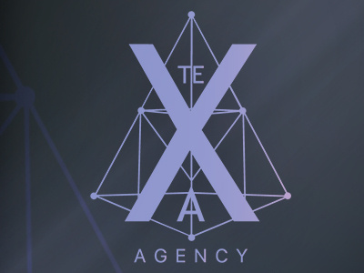 Texa branding design logo typo