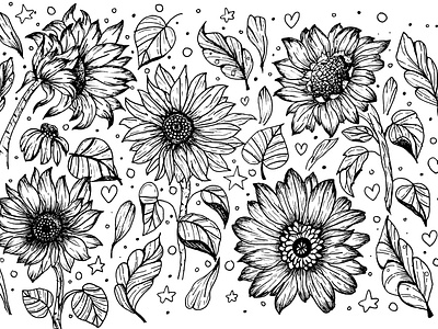 Sunflowers Handrawn Vector Set