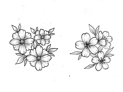 Flower Handdrawn Cliparts