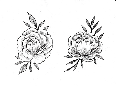 Flower Handdrawn Cliparts