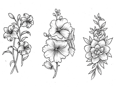 Flower Handdrawn Cliparts