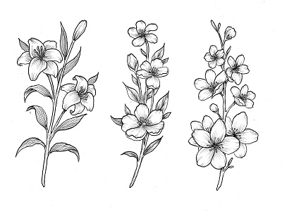 Flower Handdrawn Cliparts