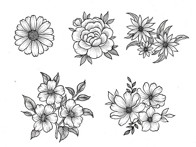 Flower Handdrawn Cliparts