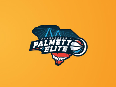Palmetto Elite aau american american logo basketball basketball logo bridge charleston elite logo palmetto palmetto elite south carolina