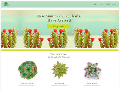 Summer Succulents Landing Page e commerce ecommerce ui ux web design