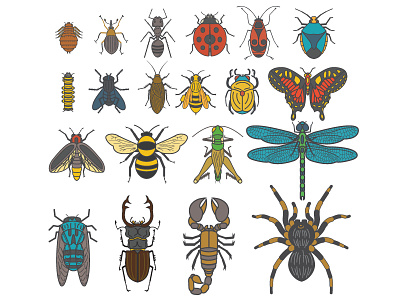 Insectarium collection bee bumble bee icon butterfly icon dragonfly icon insect insect icon logo scarab icon shield bug icon spider icon vector