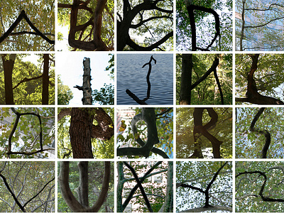 Arboreal Alphabet: Typography typography